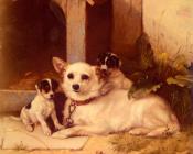 沃尔特 亨特 : Mother And Puppies Resting